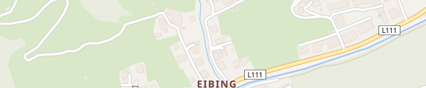 Karte Taxi 6620 Eibing Saalbach-Hinterglemm