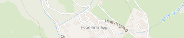 Karte Art & Ski-In Hotel Hinterhag Saalbach