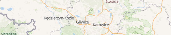 Karte statisch