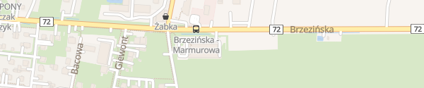 Karte ALDI Brzezińska Łódź