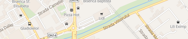Karte Lidl Strada Rusciorului Sibiu