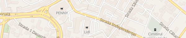 Karte Lidl Strada Independenței Botoșani