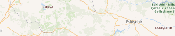 Karte statisch