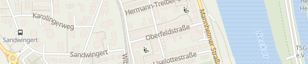 Karte Pfälzer Straße Heidelberg